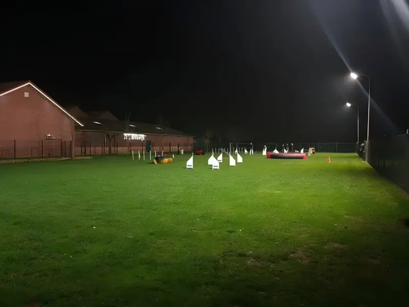 LED Floodlights for Night Dog Agility Event in Bentelo Netherlands LED Floodlights for Night Dog Agility Event in Bentelo Netherlands